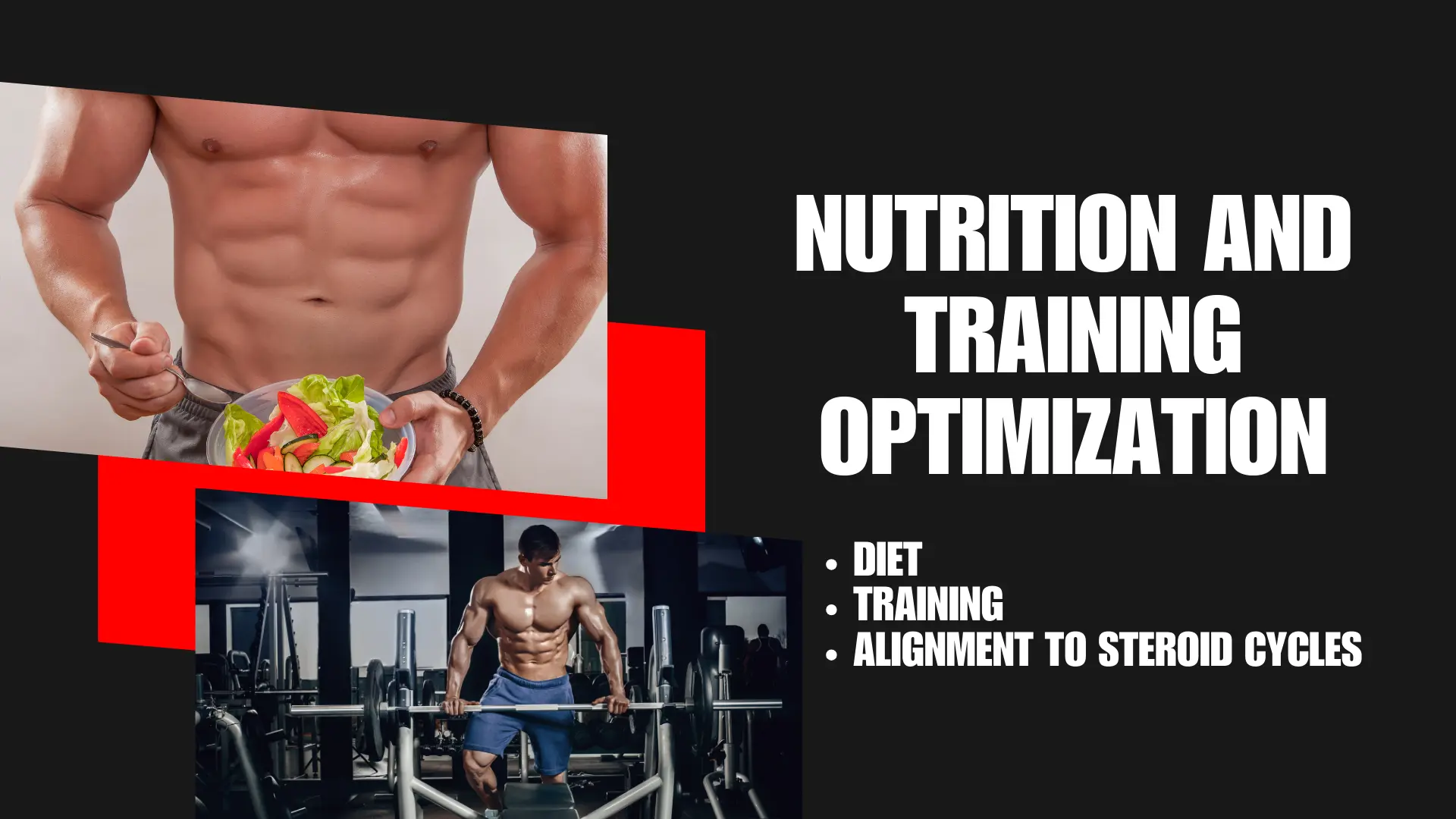 Nutrition and Training Optimization