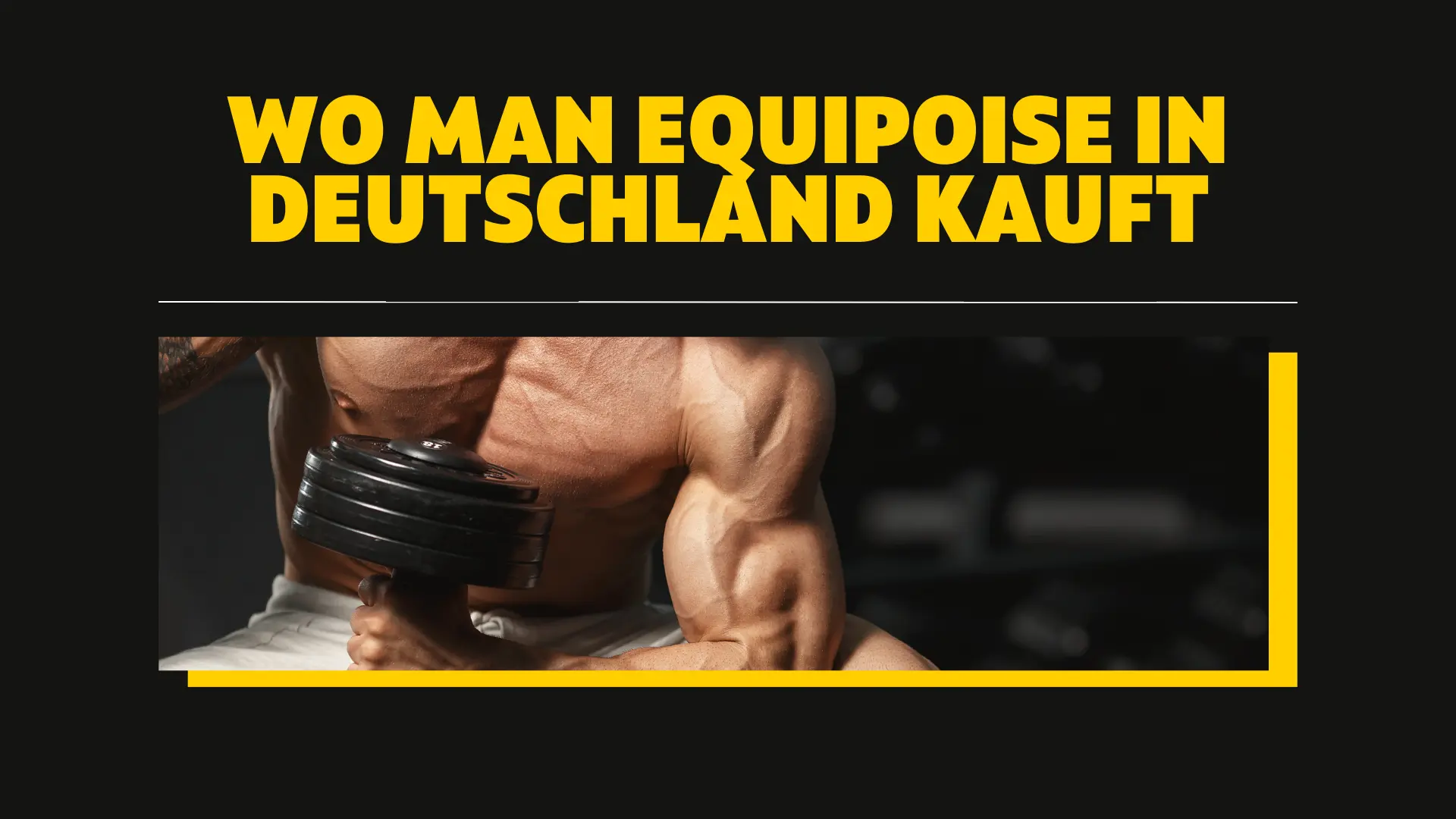 Equipoise zum Verkauf in Deutschland