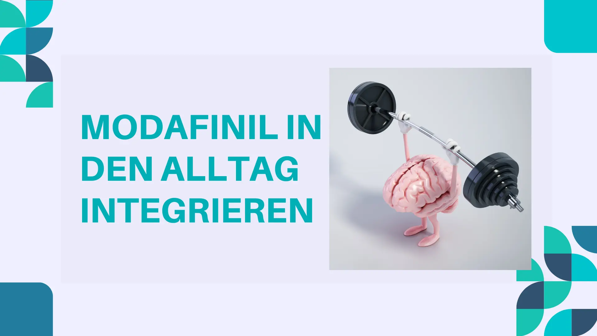 Modafinil in den Alltag integrieren