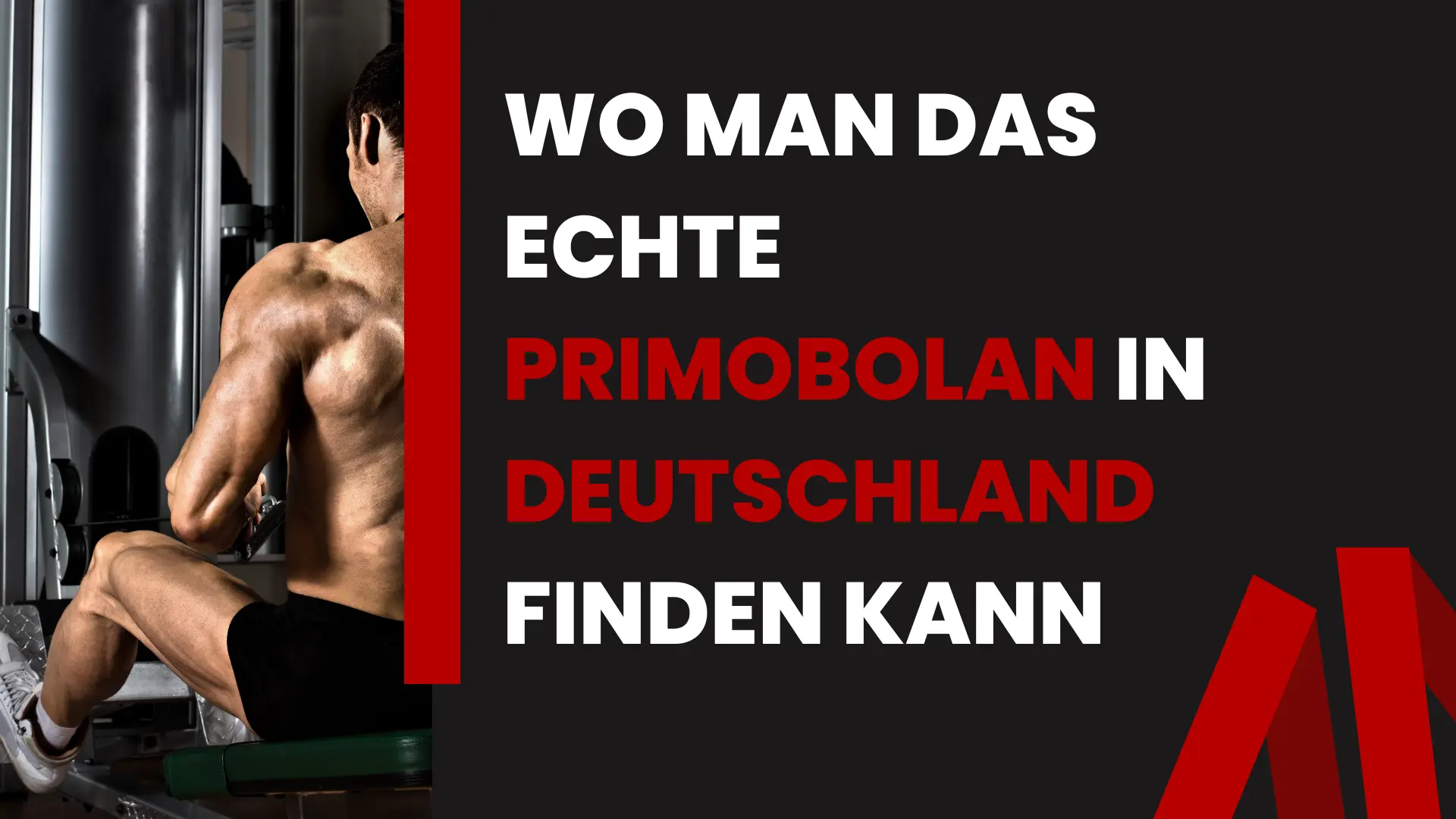 Vorteile der Verwendung von Primobolan