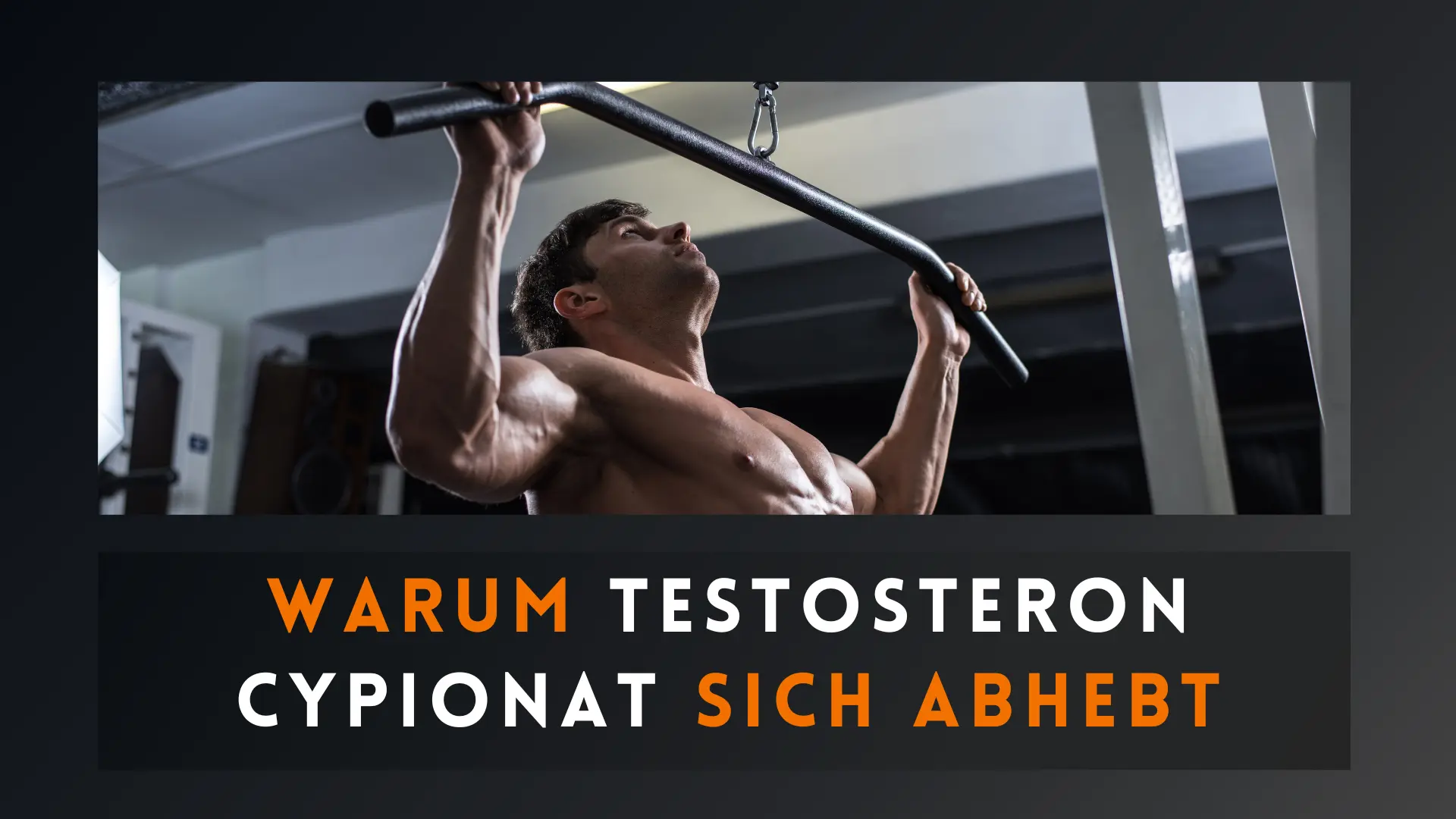 TestoCyp für Bodybuilder jetzt sicher erhältlich