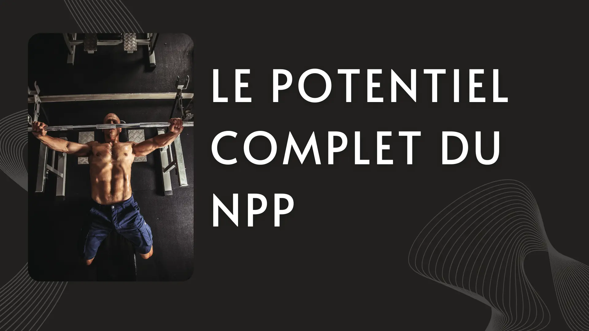 Le Plein Potentiel du NPP