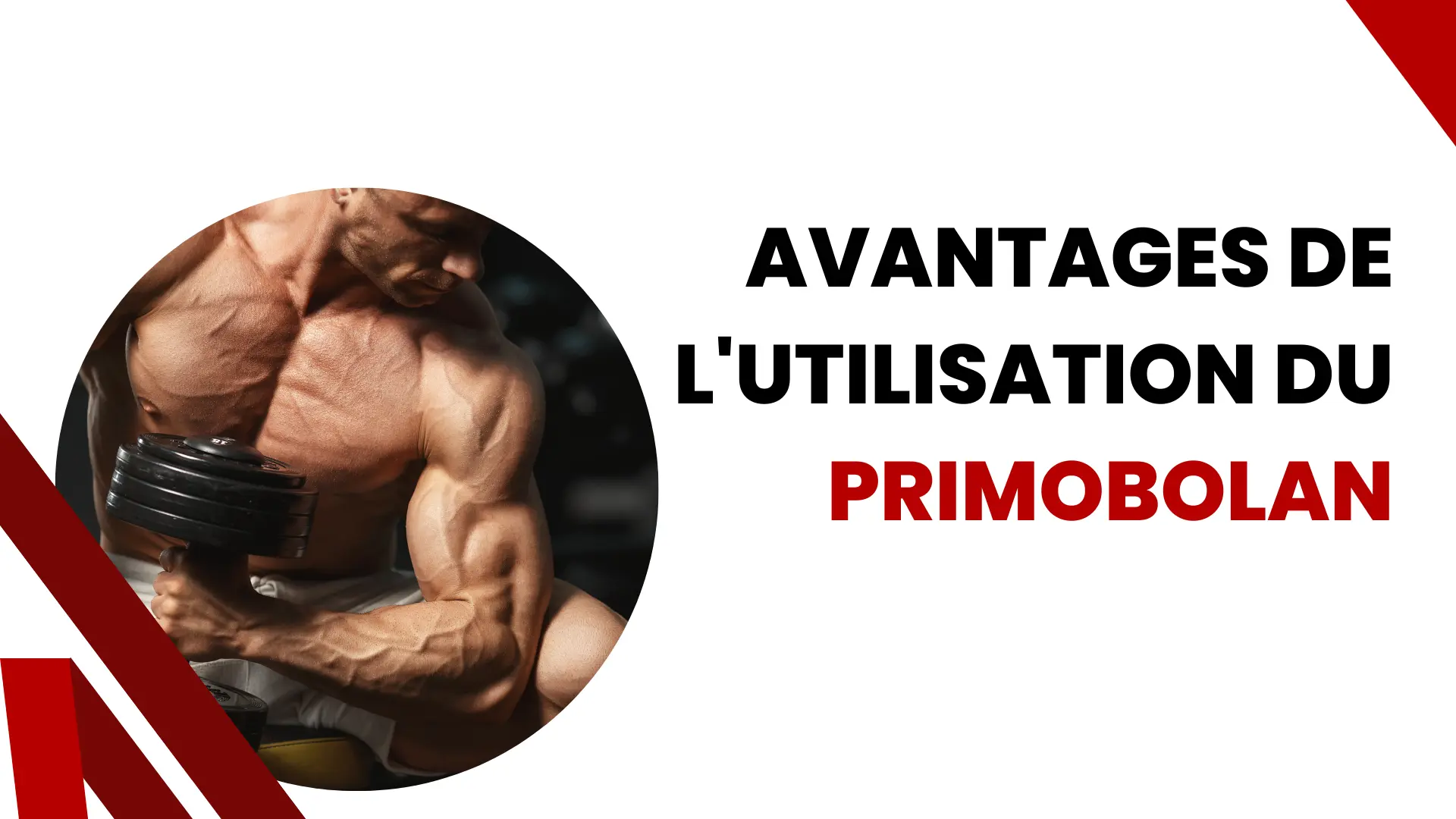 Avantages de l'utilisation du Primobolan