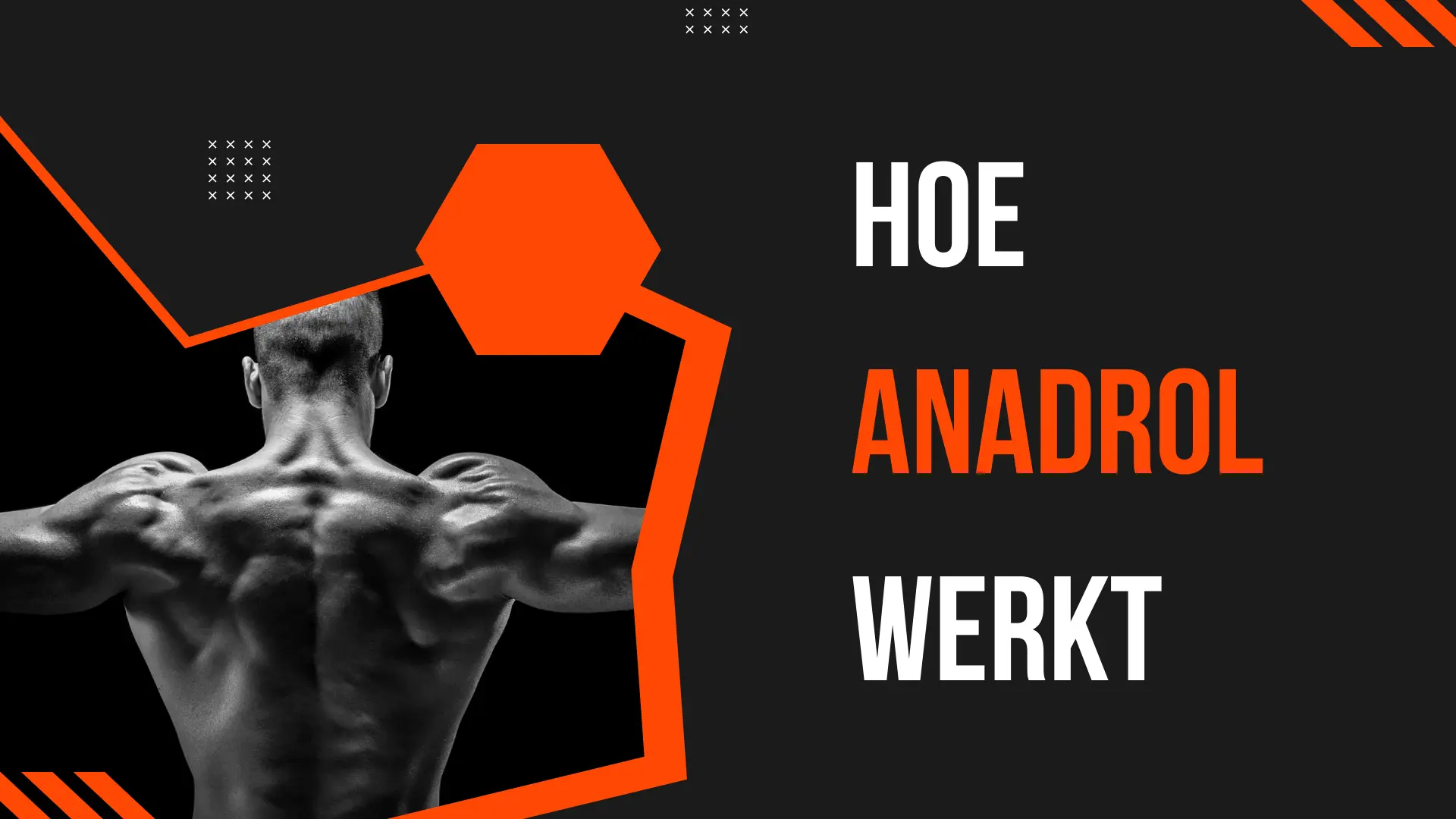 Hoe Anadrol Werkt