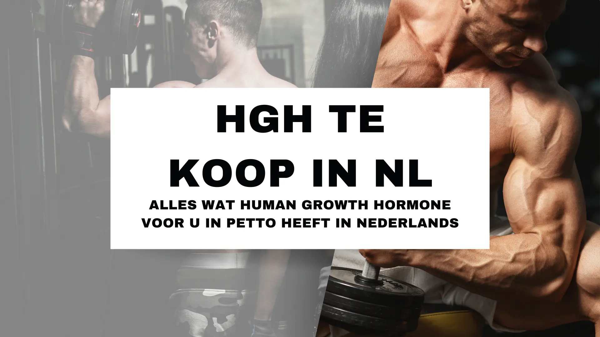 Alles wat Human Growth Hormone voor jou in de Nederland te bieden heeft