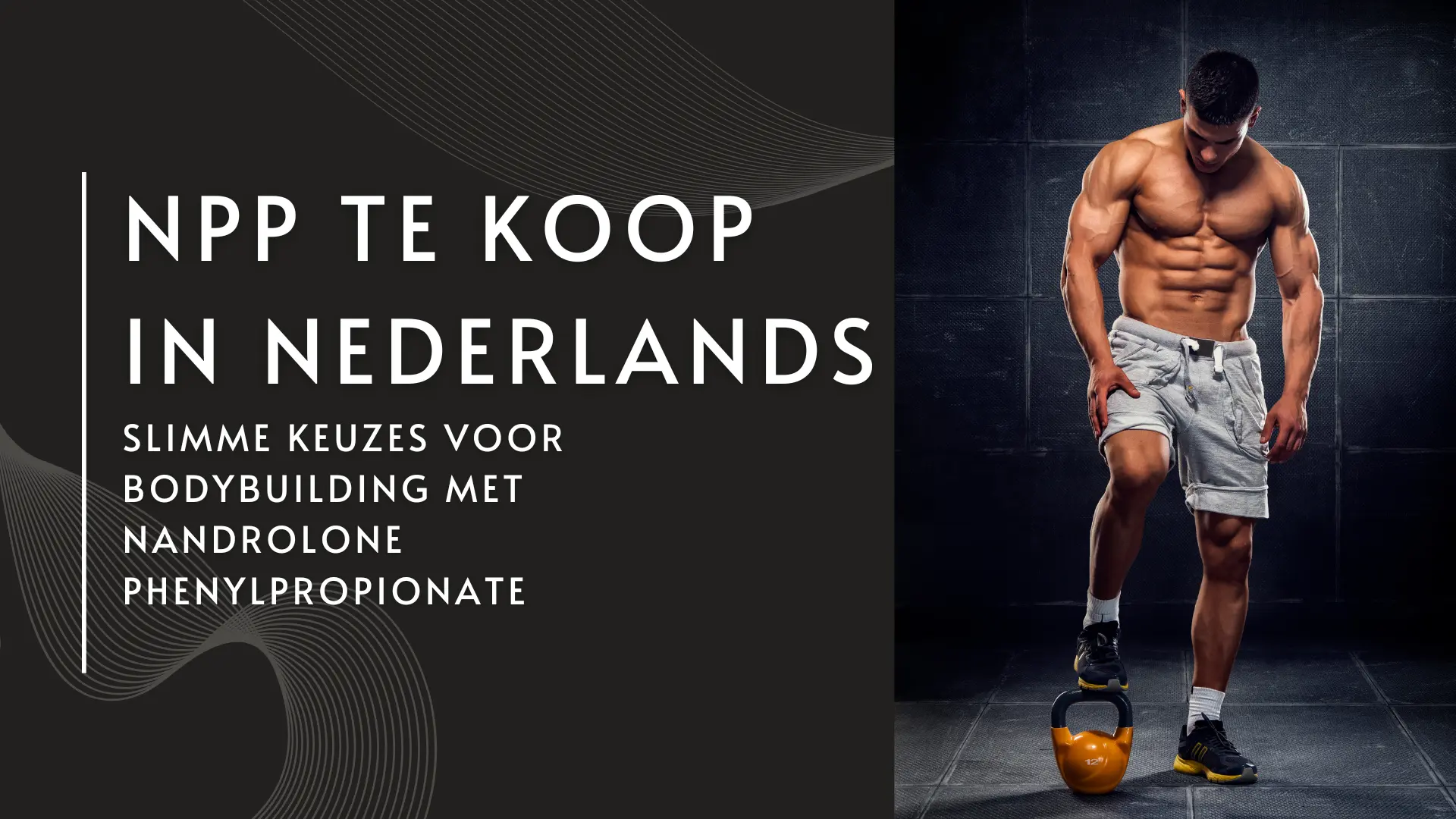 NPP te koop in Nederland: Slimme Bodybuildingkeuzes met Nandrolone Phenylpropionate