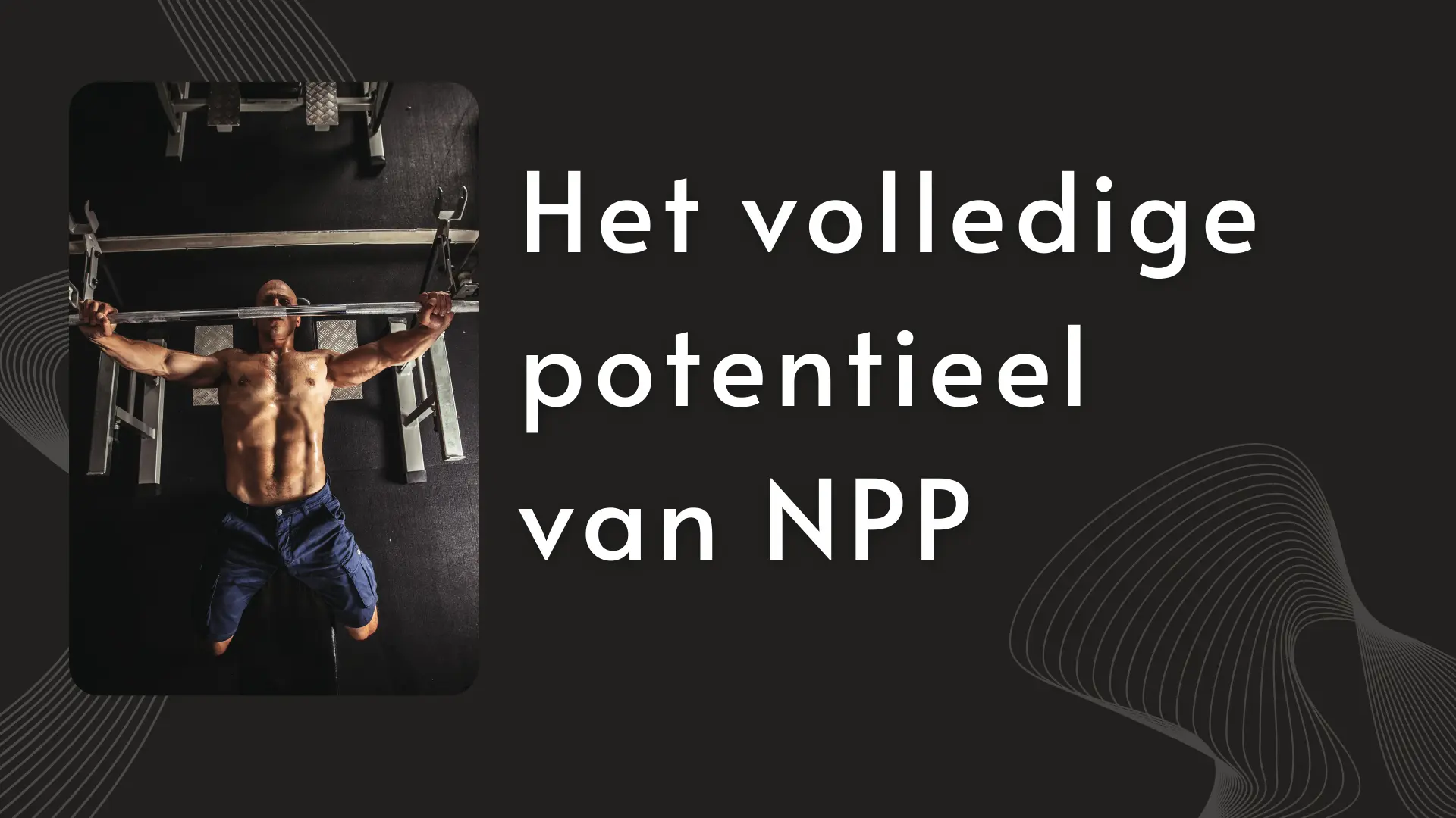 Het Volledige Potentieel van NPP