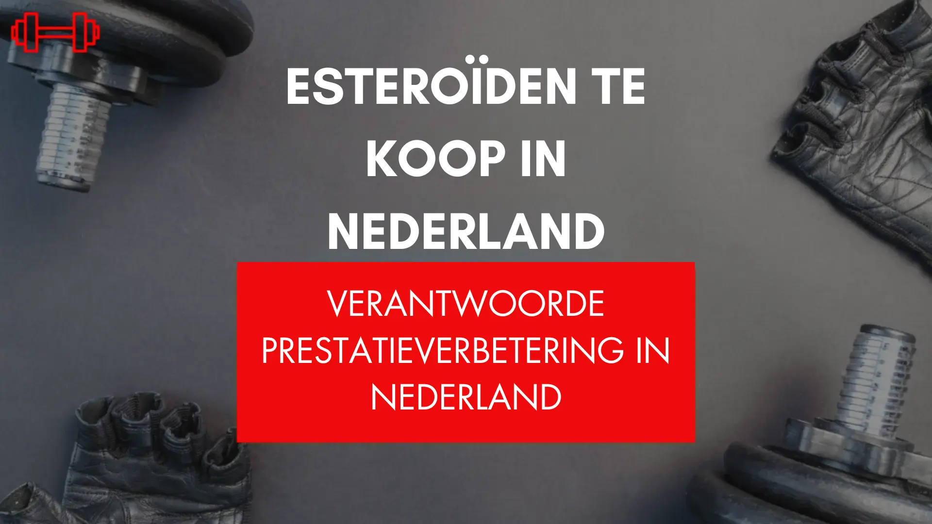 Steroïden te koop in Nederland: Verantwoorde prestatieverbetering in Nederland