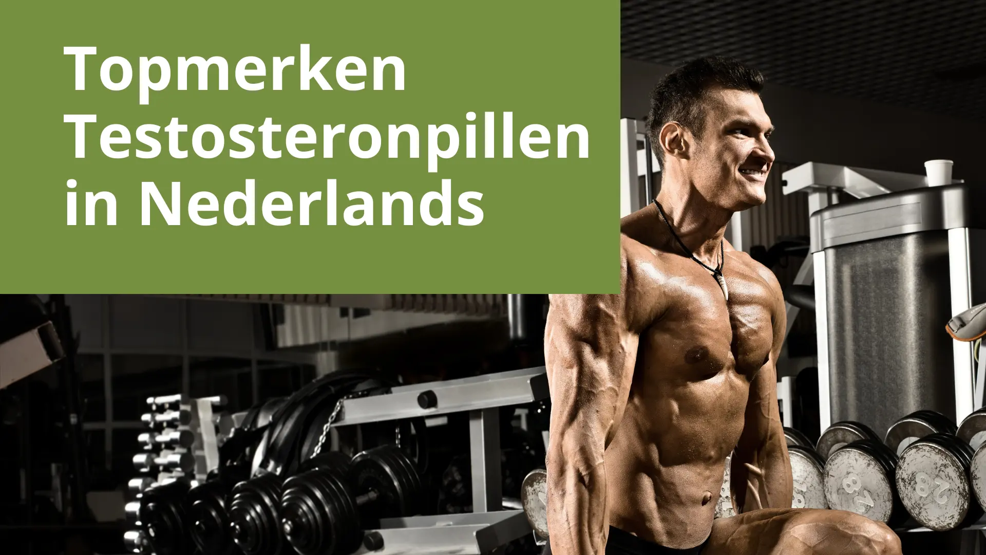 Top Testosteron Pilmerken in de Nederland