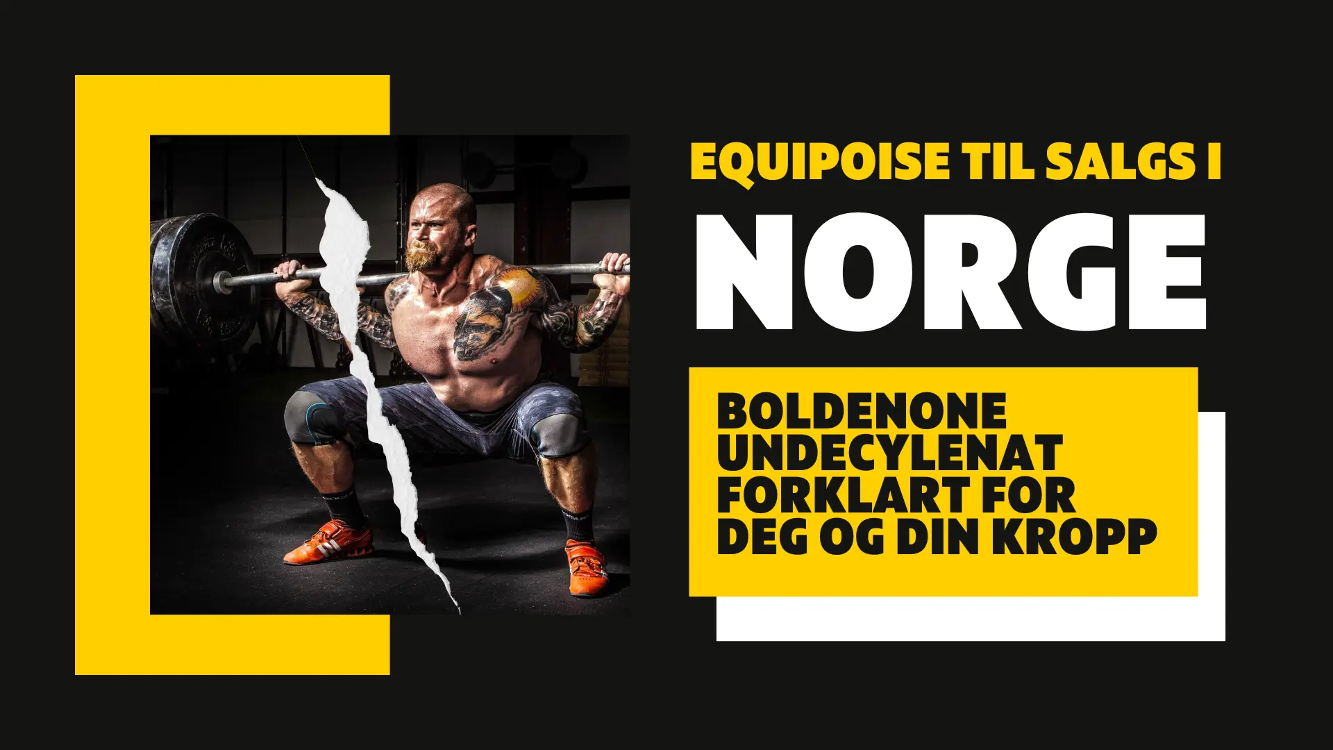 Equipoise til salgs i Norge