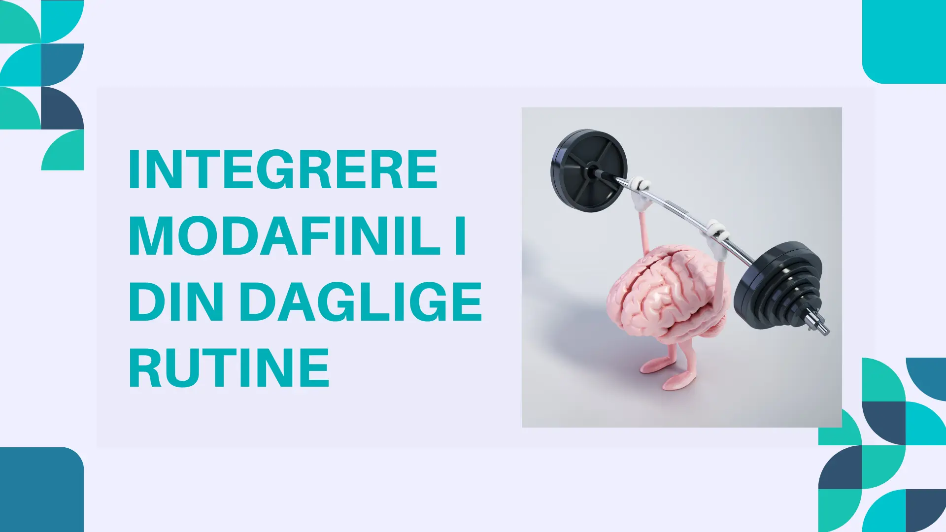 Integrering av Modafinil i Dagliglivet