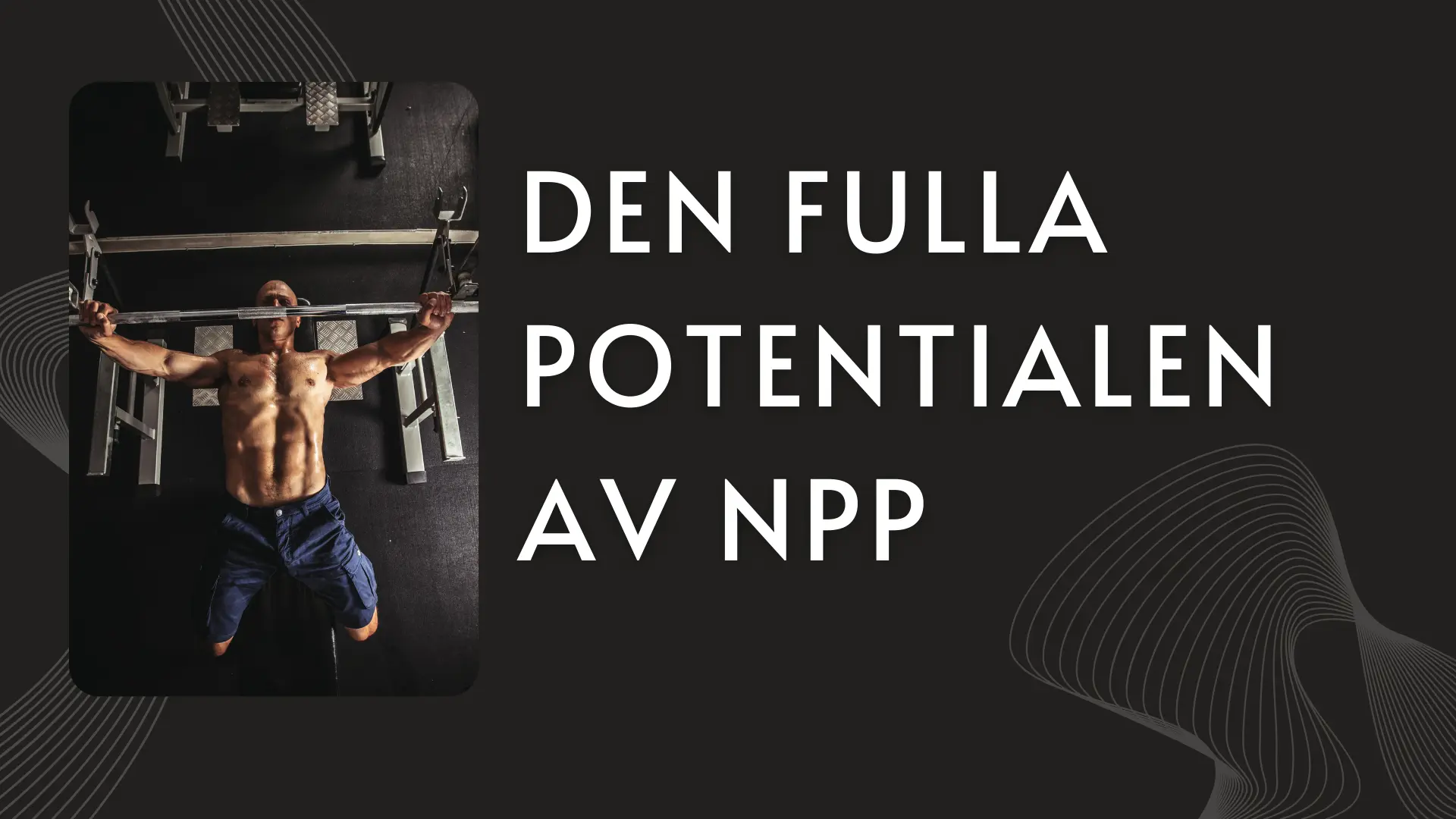 Den Fulla Potentialen av NPP