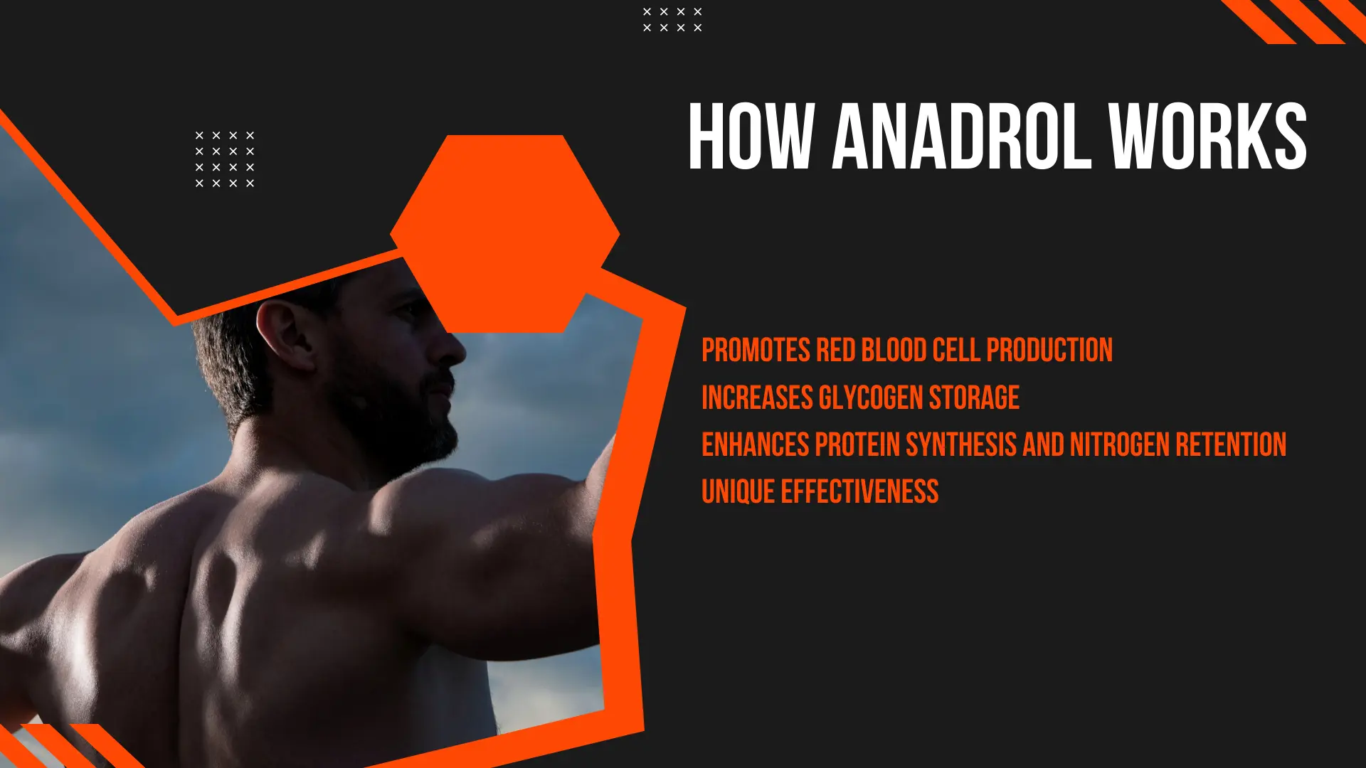 How Anadrol Works How Anadrol Works
