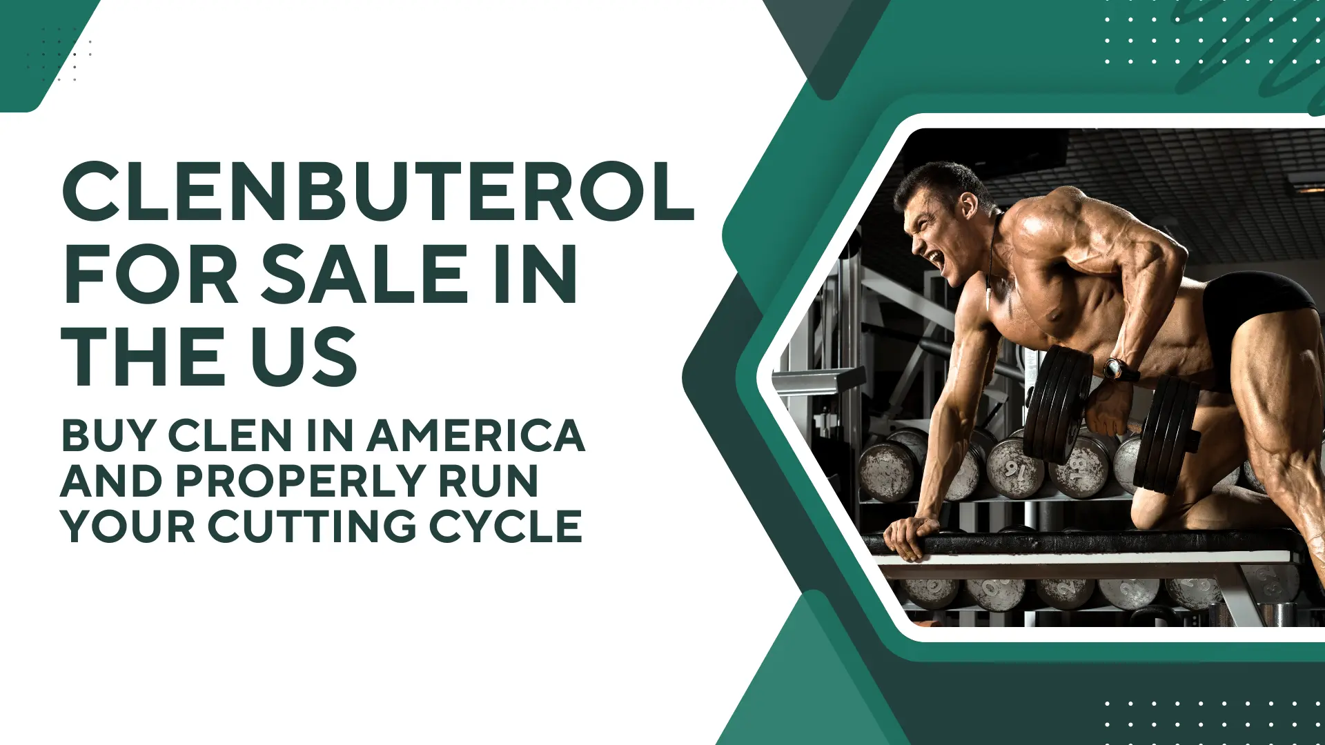 Clenbuterol for Sale in the US Buy Clen in America and Properly Run Your Cutting Cycle