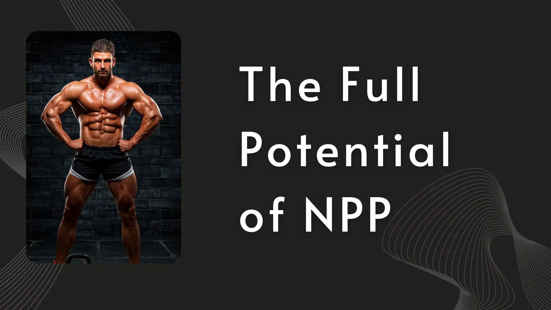 The Full Potential of NPP The Full Potential of NPP