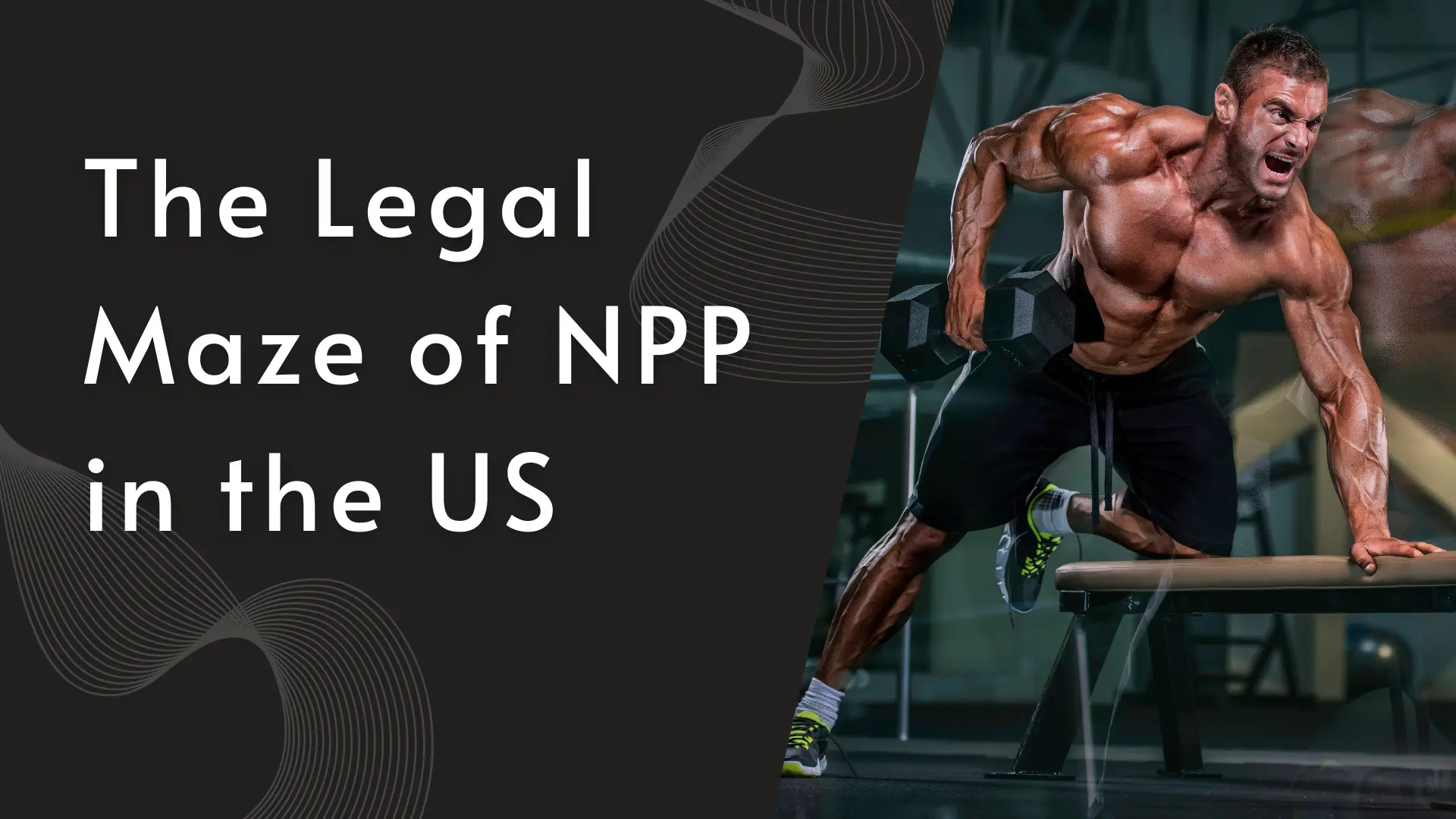 The Legal Maze of NPP in the US The Legal Maze of NPP in the US
